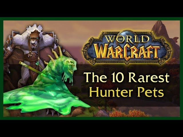 THE 10 RAREST UNOBTAINABLE HUNTER PETS - WOW 8.0.1