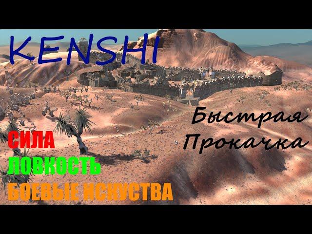 KENSHI ► Прокачка боевых искусств, ловкости и силы