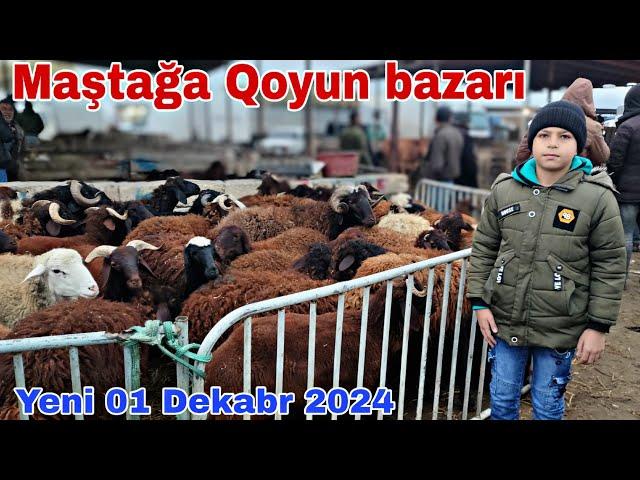 Maştağa Qoyun bazarı 1 dekabr 2024 @mubarizemintv2271