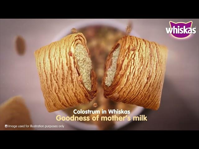 Whiskas® Junior  |  Goodness of Mother's Milk