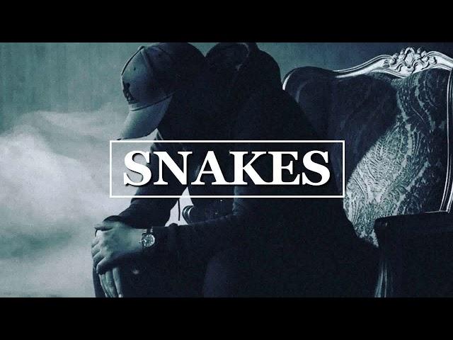 Ay Em x D One  Type Beat - "Snakes" | Type Beat I Trap Beat Instrumental