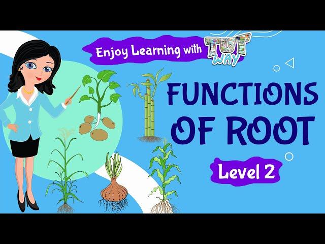 Functions of Root | Parts Of a Plant | Elementary Science | Short Videos |Tutway |