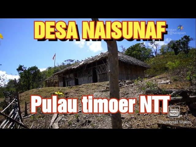 KISAH NYATA KEHIDUPAN MASYARAKAT DESA NAISUNAF PULAU  TIMUR NTT YANG TERPENCIL