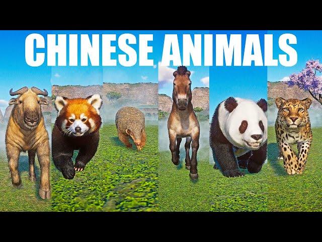 Chinese Animals Speed Races in Planet Zoo