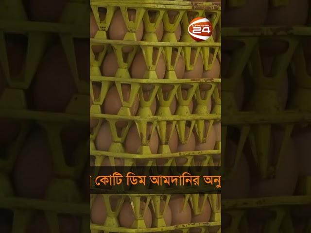 আমদানি করা হচ্ছে ৪ কোটি ডিম #eggprice #channel24 #egg #shorts