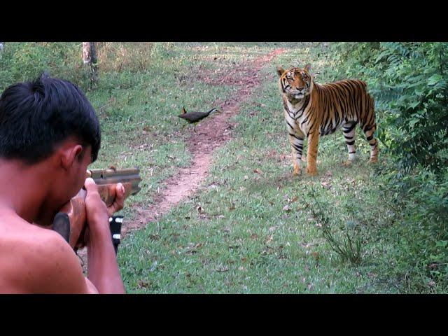 Full video : Hunt all day in the forest, a wild tiger's nest, set traps to survive