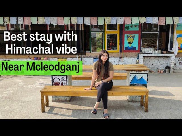 Budget friendly stay|Naddi|Junglaat|Lungdu Cafe|Mcleodganj|Dharamshala|Himachal Pradesh