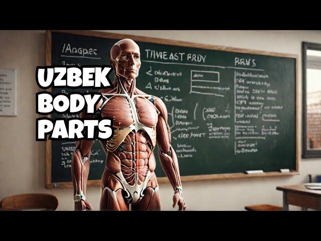 Learn Human Body Parts in Uzbek | Easy Uzbek for Beginners | #ILC