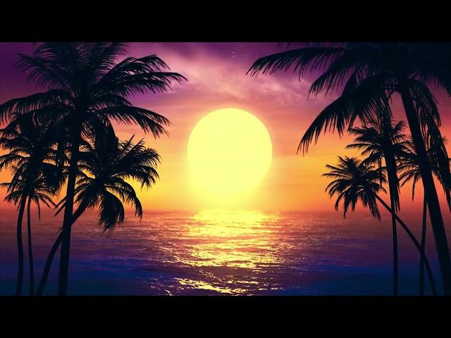 Vintage Palm Tree On The Sunset Sea Background 4K Loop Video | No Copyright Nature Background Video