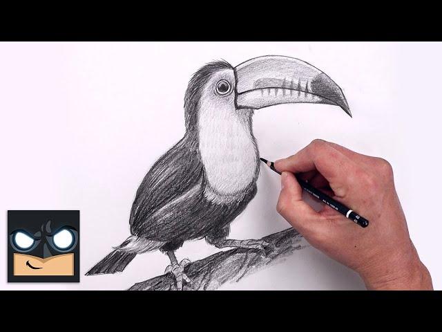 How To Draw a Toucan | Beginners Sketch Art Lesson (Step by Step)