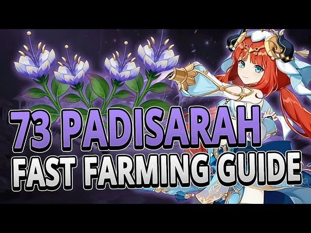 Padisarah 73 Locations FAST FARMING ROUTE +TIMESTAMPS | Genshin Impact 3.0