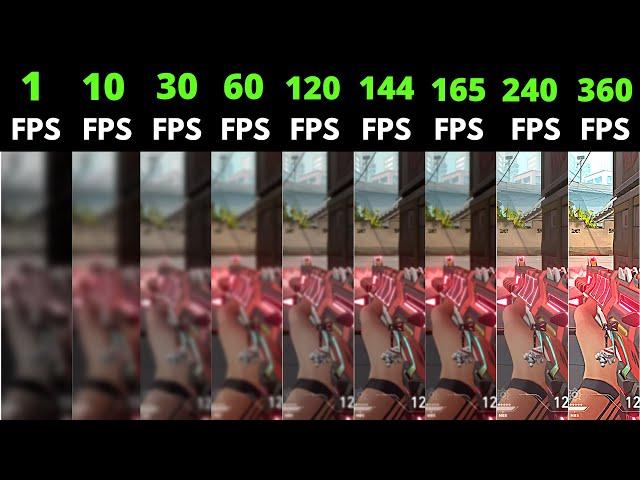 Valorant 1 Fps vs 5 Fps vs 10 Fps vs 30 Fps vs 60 Fps vs 144 Fps vs 200 Fps vs 300 Fps vs 600 Fps