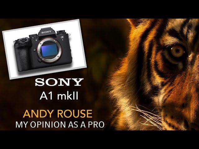 Pro wildlife photographer Andy Rouse talks about why the Sony A1 Mark II is brilliant for wildlife