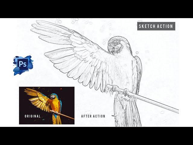 Pencil Sketch Action Effect || Free Download || Ozzie Offical