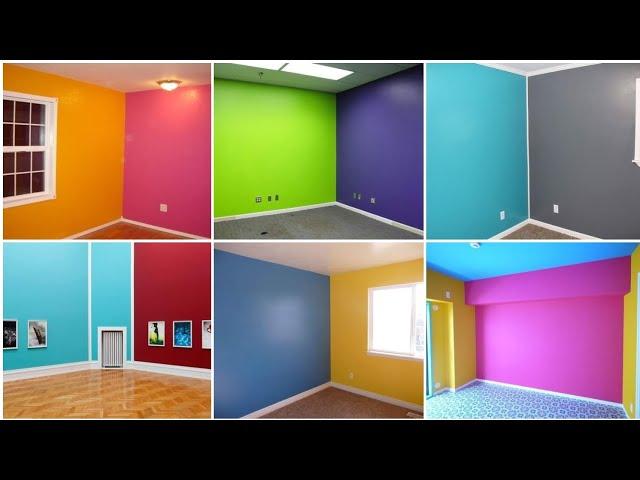 Top 50+ Light Color Combination for Walls 2024 Wall Painting Design Ideas | Wall Colour Combination