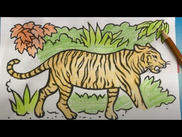 Complete the painting of the king of animals - the Striped Tiger