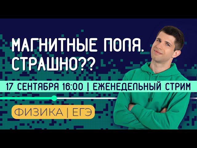 МАГНЕТИЗМ | САМАЯ СЛОЖНАЯ ТЕМА? | ЕГЭ ПО ФИЗИКЕ 2023