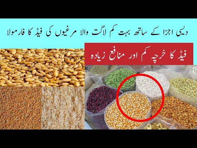 How to Reduce Feed Cost and increase profit in Desi Hen Farming || Desi Feed Formula