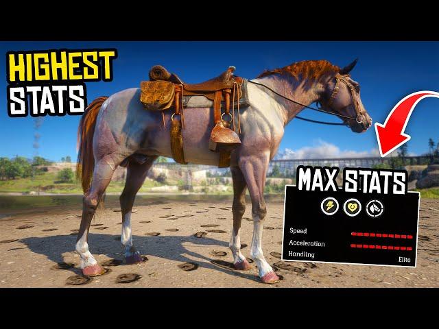 6 Horses with the Highest Stats - Red Dead Redemption 2