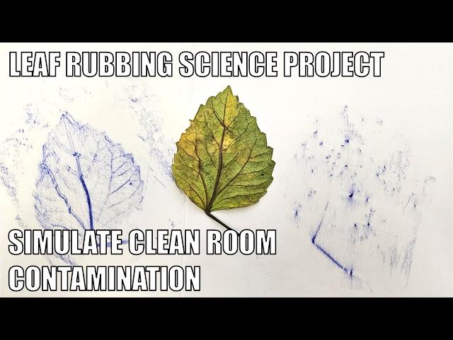 Simulate Clean Room Contamination with Crayon Leaf Rubbings | Science Project