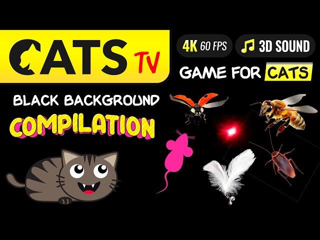 CAT TV -  ULTIMATE Compilation for cats 🪳 Game for cat  4K [60FPS]