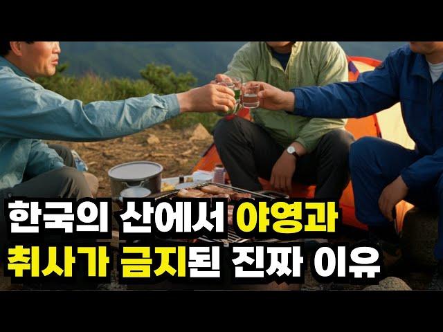 The real reason camping and cooking are prohibited in Korea's mountains!