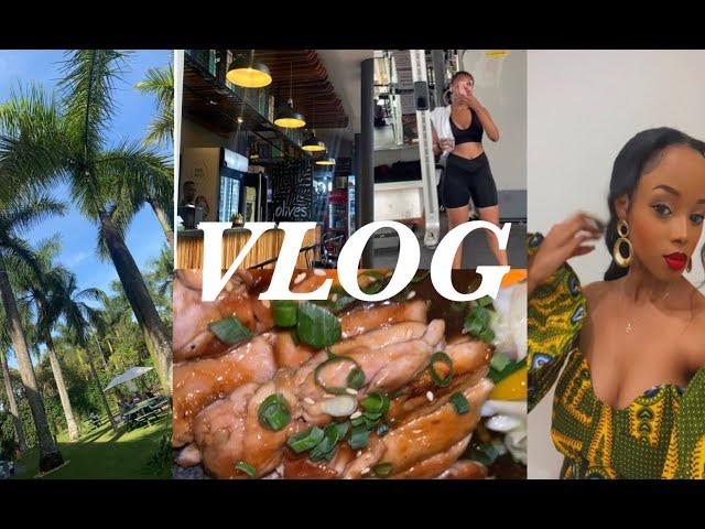 VLOG: All We Did Was Have Fun:)  Adekunle Gold Concert +Blankets  & Wine + Back at the Gym & More