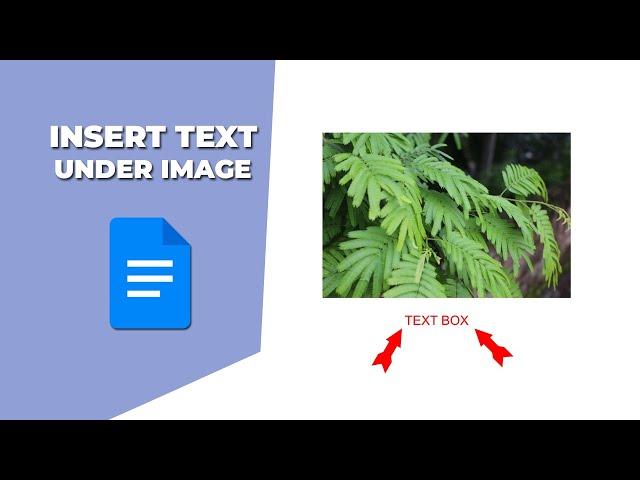 how to insert text under an image in Google Docs