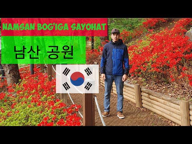 Koreya bo'ylab sayohat || Namsan bog'iga sayohat.  #korea #남산공원 #한국 #한국여행 #sayohat #корея