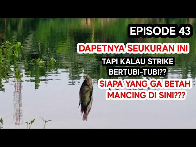  LUAR BIASA !!! KALAU STRIKE MANCINGNYA BERTUBI-TUBI, GIMANA BIKIN GA MAU PULANG!!!  (EPISODE 43)