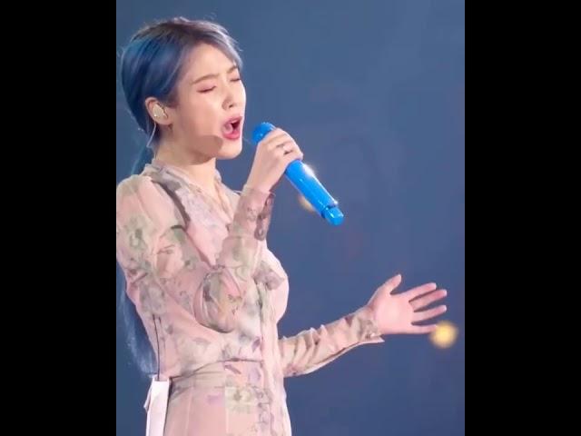 IU criedbecuz of Sulli’s death