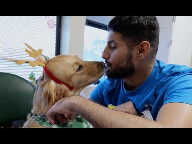 Therapy Dog Spreads Holiday Cheer to Patients at Texas Hospital