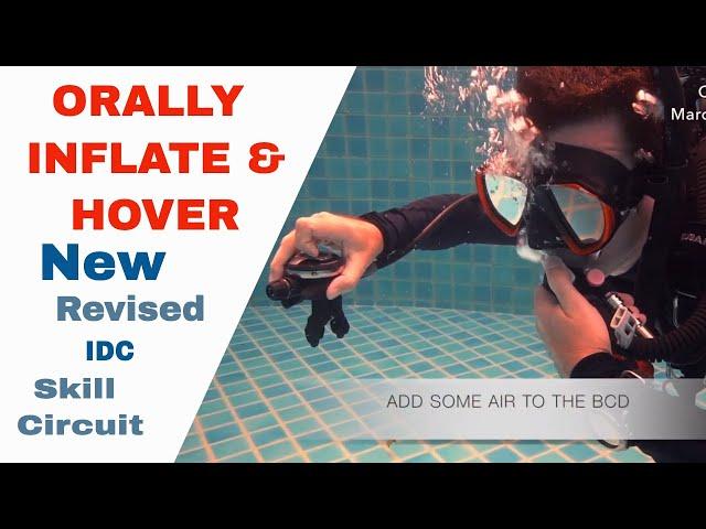 Orally Inflate BCD to Hover - New Revised PADI IDC Skills Circuit • Divemaster Skills