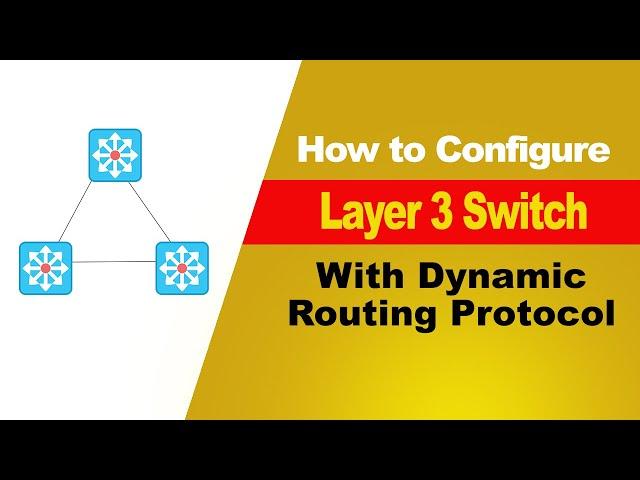 How to Configure Layer 3 Switch with Dynamic Routing Protocol  // CCNA 200-301