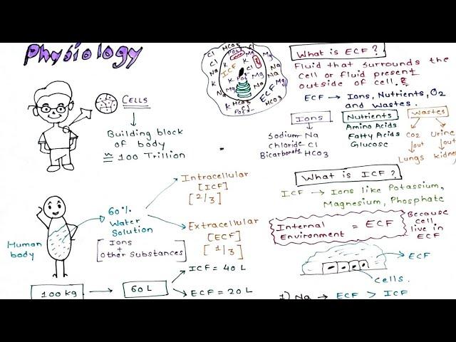 Physiology (Intracellular and Extracellular fluid)