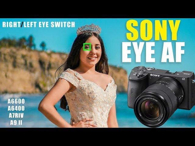 Sony Real Time EYE AF Best Settings [ Perfect Shot Correct Eye Autofocus ] a6600 a7S III a7RIV a7C