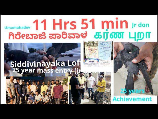 25th year mass entry (jr don  ) 11 hrs 51 min Top class  tips and tricks￼  Siddivinayaka Loft￼