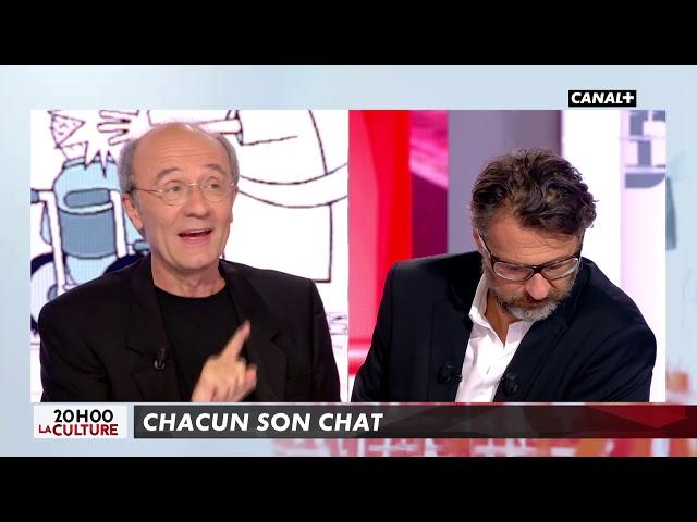 Chacun son chat - L’info du Vrai du 17/10 – CANAL+