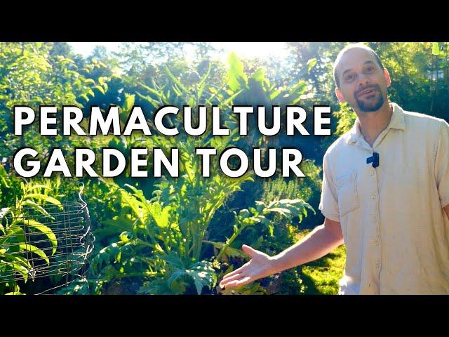 Permaculture Garden Tour: YEAR 12