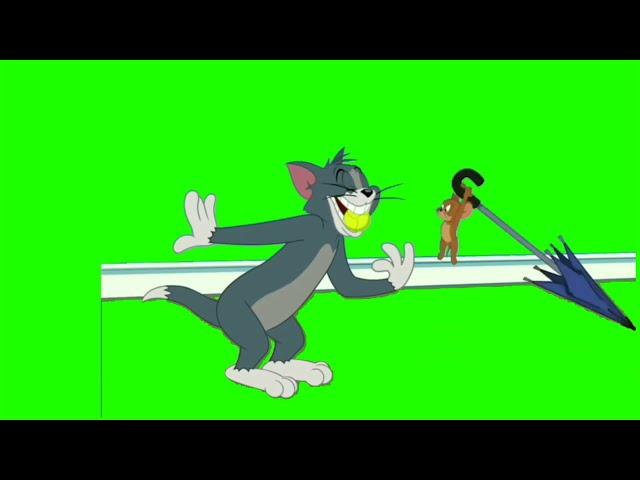 Green Screen Tom and Jerry Cartoon