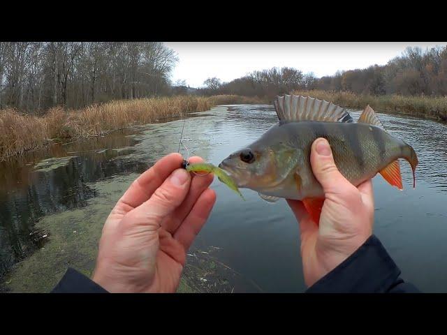 Fishing for large perch in the fall from a boat on a light