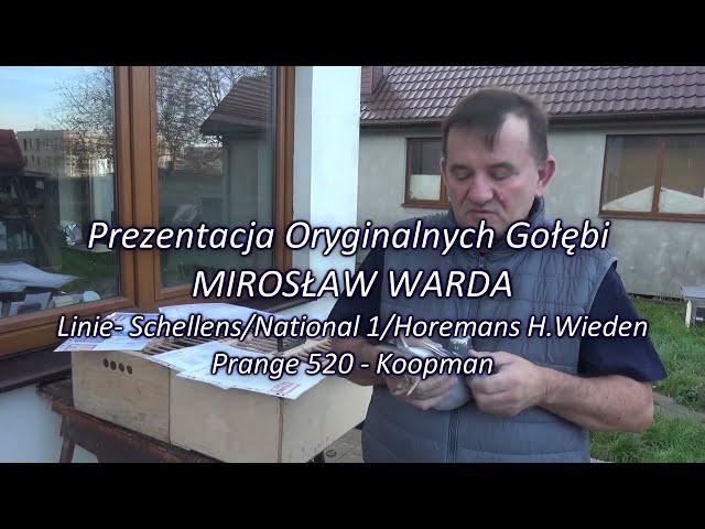 NOWOŚĆ!!! MIROSŁAW WARDA -Linie- Schellens/National 1/Horemans H.Wieden/Prange 520 - Koopman