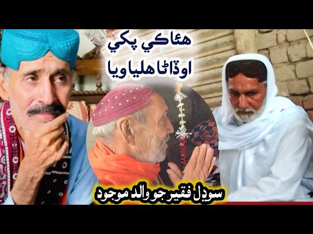 Sodhal faqeer laghari tribute | Haji Ali Akber abro | Kafi hwa ka pakhi