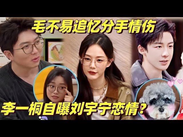 娱乐圈TOP级恋爱脑！李一桐爆刘宇宁狗届虐恋？毛不易回忆分手黯然神伤 | 毛雪汪 | 李雪琴 | 综艺show