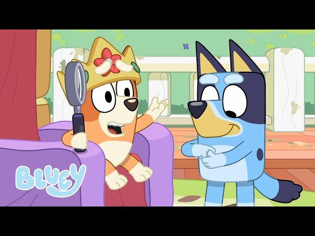 EN VIVO: Momentos Sorprendentes!  | Bluey