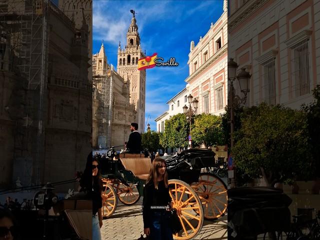 The Magical Birthplace of FlamencoSEVILLE  City Walking Tour  #andalucia #travel #spain