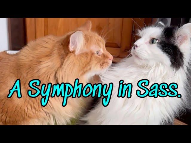 A Symphony in Sass (extended version)