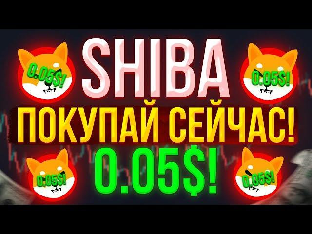 МАССИВНОЕ СЖИГАНИЕ ШИБА! ЭТИ НОВОСТИ ВАС ТОЧНО УДИВЯТ