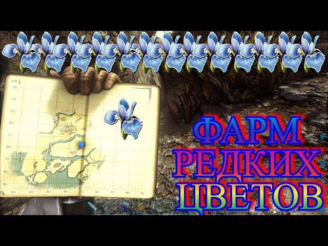 ARK РЕДКИЙ ЦВЕТОК