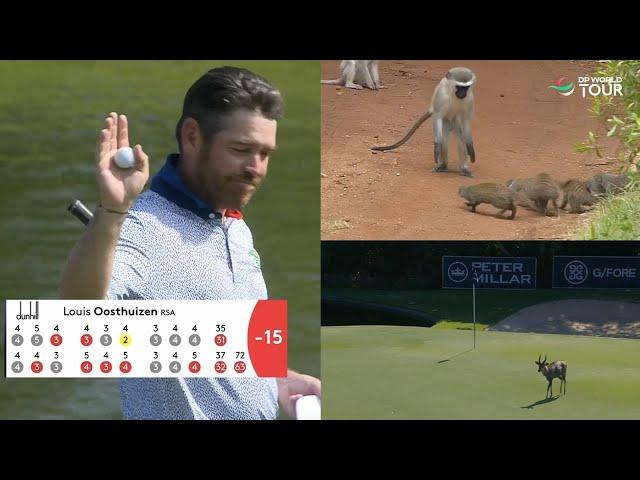 Weird & Wonderful Golf Moments | 2023 Alfred Dunhill Championship